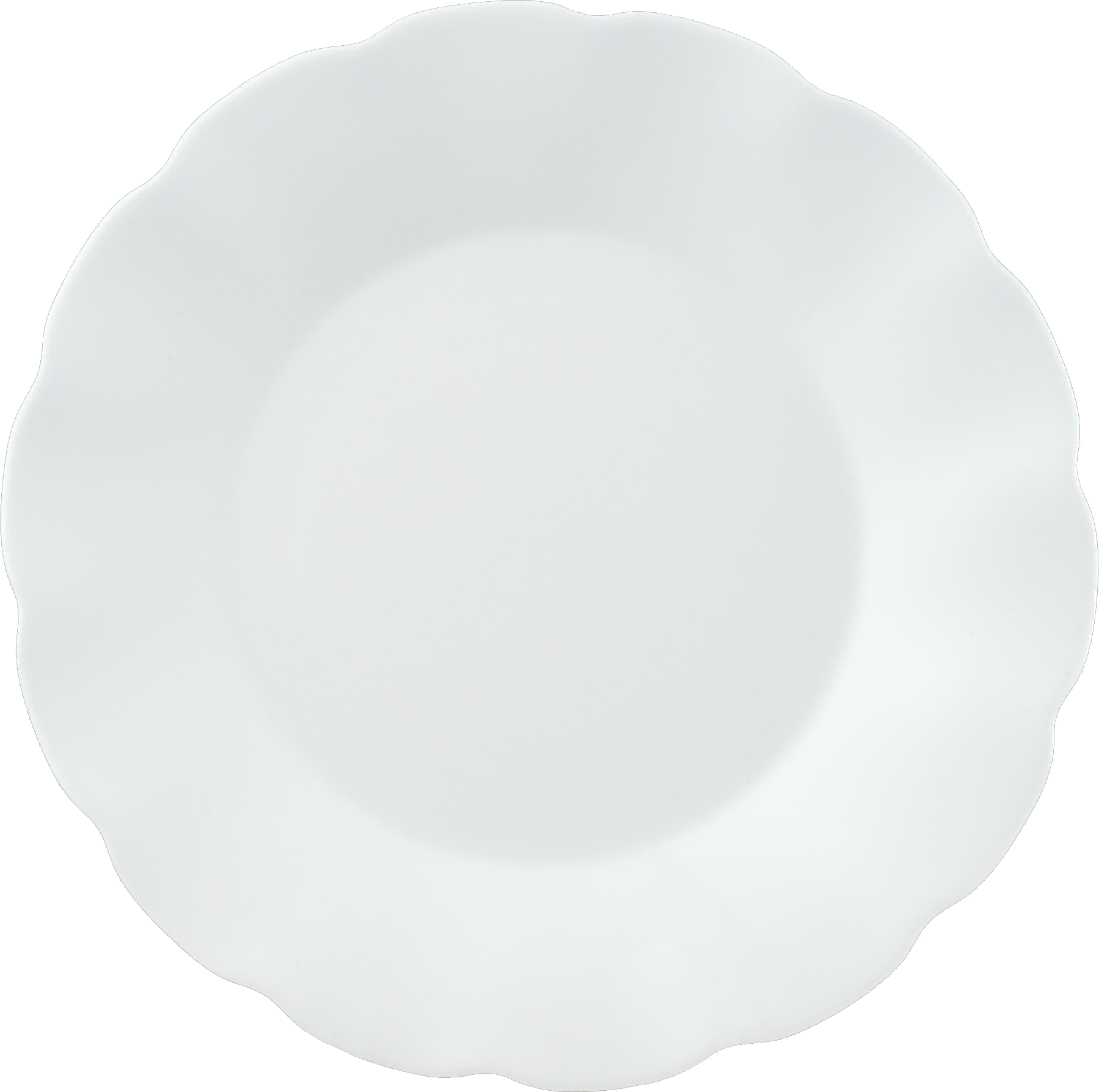 8''FLAT PLATE<br>F-LHJXP80