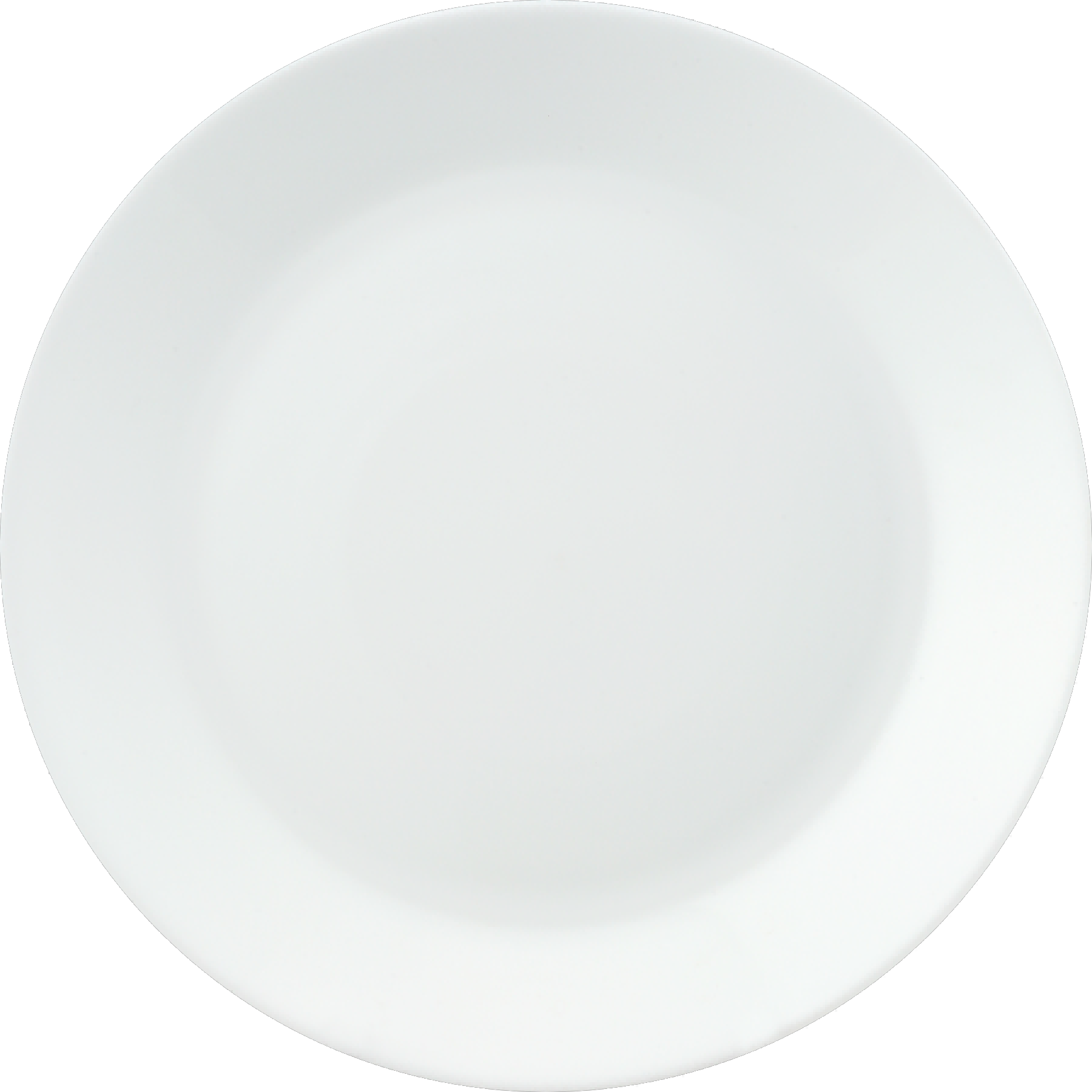 10''PLATE <br>F-LMLPP100